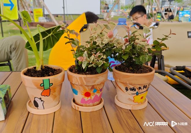 互动游戏、手工坊课程齐上阵！澳琴露营节垃圾分类摊位开营(图3)