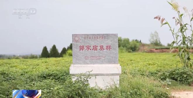 九游娱乐：看小说学盗墓挖走20余件国宝 特大盗墓案细节曝光(图4)