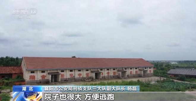 九游娱乐：看小说学盗墓挖走20余件国宝 特大盗墓案细节曝光(图9)