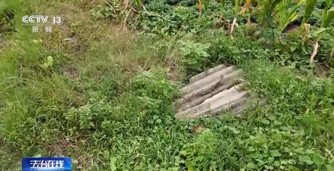 九游娱乐：看小说学盗墓挖走20余件国宝 特大盗墓案细节曝光(图18)