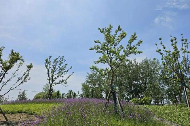 遛娃好去处！家门口的公园焕新升级(图4)