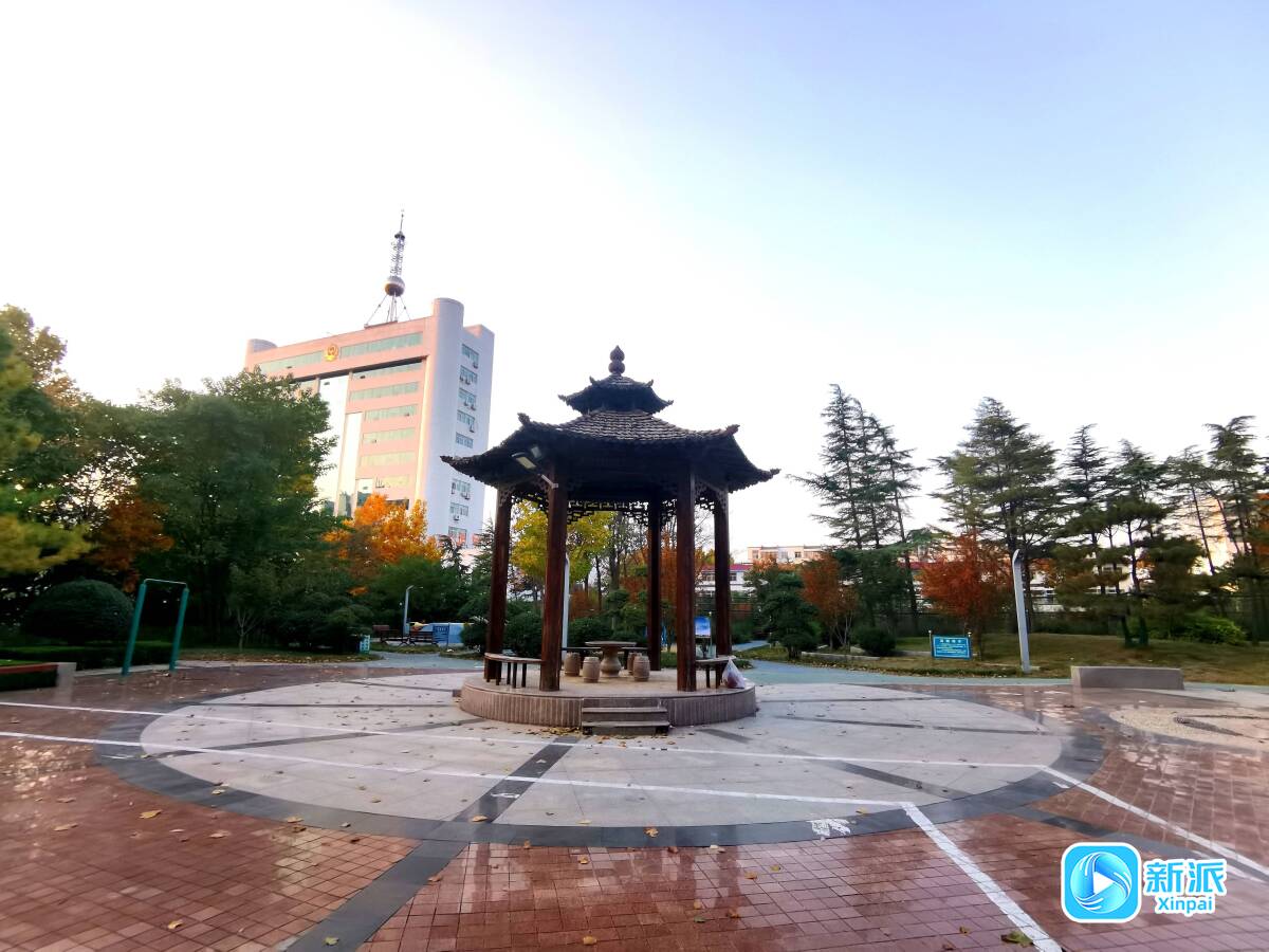 九游app：“潍”美游园 “坊”间探幽 祥泰园：描绘市民家门口的幸福图景(图1)