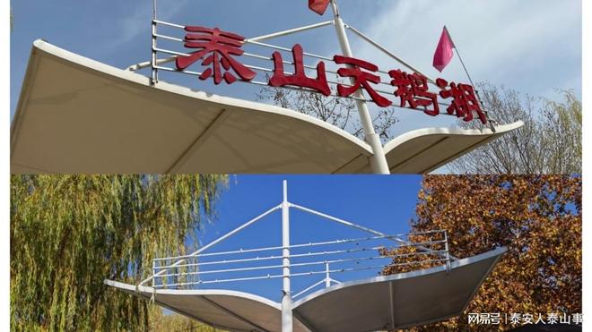 九游娱乐：泰安：城西有一个儿童乐园曾是热门亲子游目的地现在免费游览(图6)