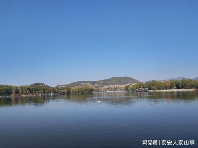 九游娱乐：泰安：城西有一个儿童乐园曾是热门亲子游目的地现在免费游览(图7)