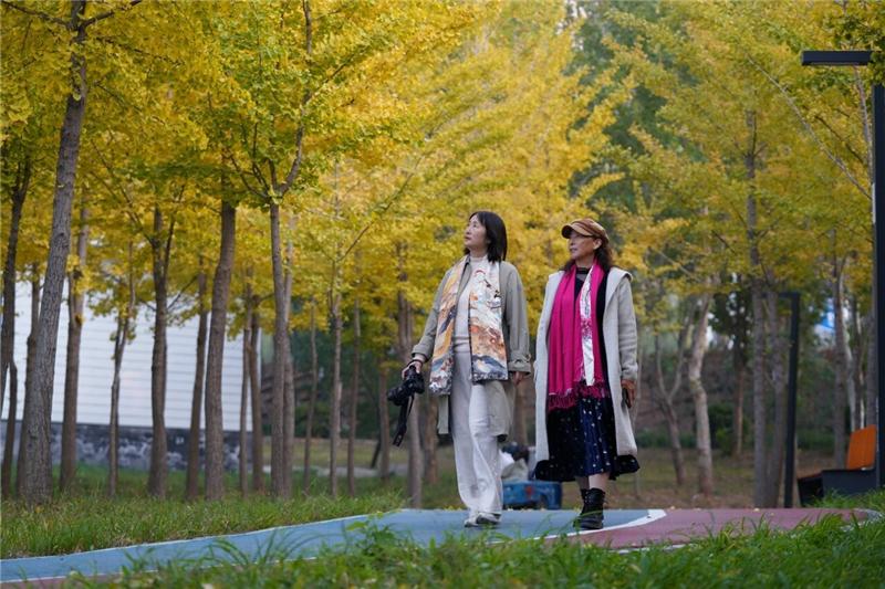 新闻纵深·解码宜居县城新样本｜小成本如何“改”出大幸福(图5)