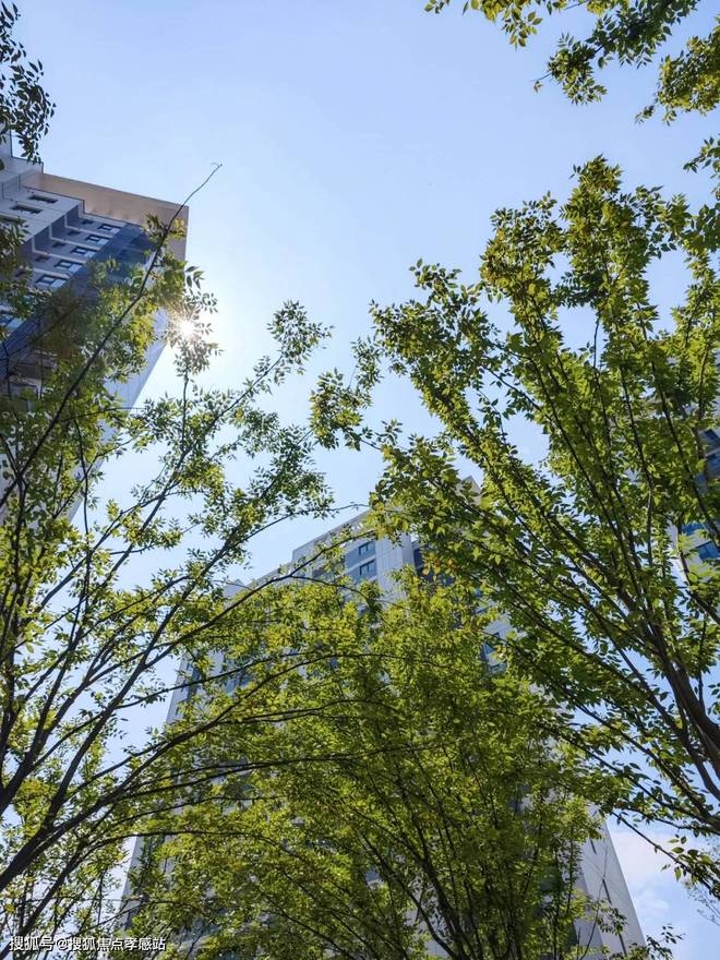 九游娱乐：中建玖海云天官方售楼处未来科技之钥解锁临港品质生活新想象(图9)