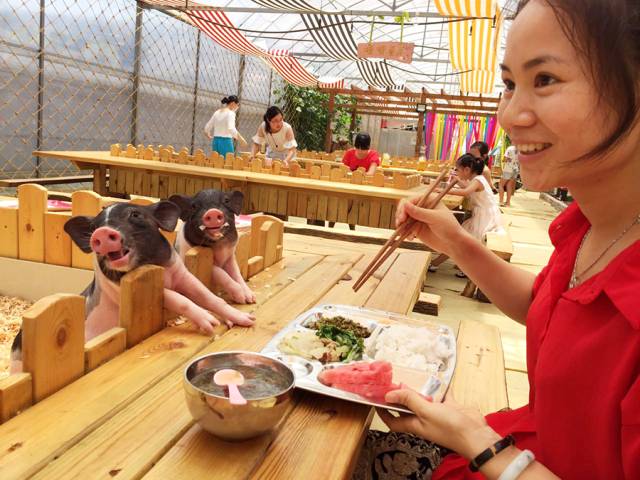 把30多个城郊农场爆改成孩子们的乐园他要做万千孩子的「田妈妈」(图10)