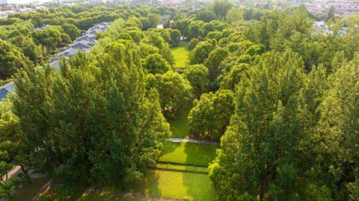 九游app：上海浦东绿宝园翡梵售楼处│绿宝园翡梵(营销中心) 官网 - 2026 (售楼处)- 楼盘欢迎您 价格  户型  地址环境配套交房时间电话(图2)