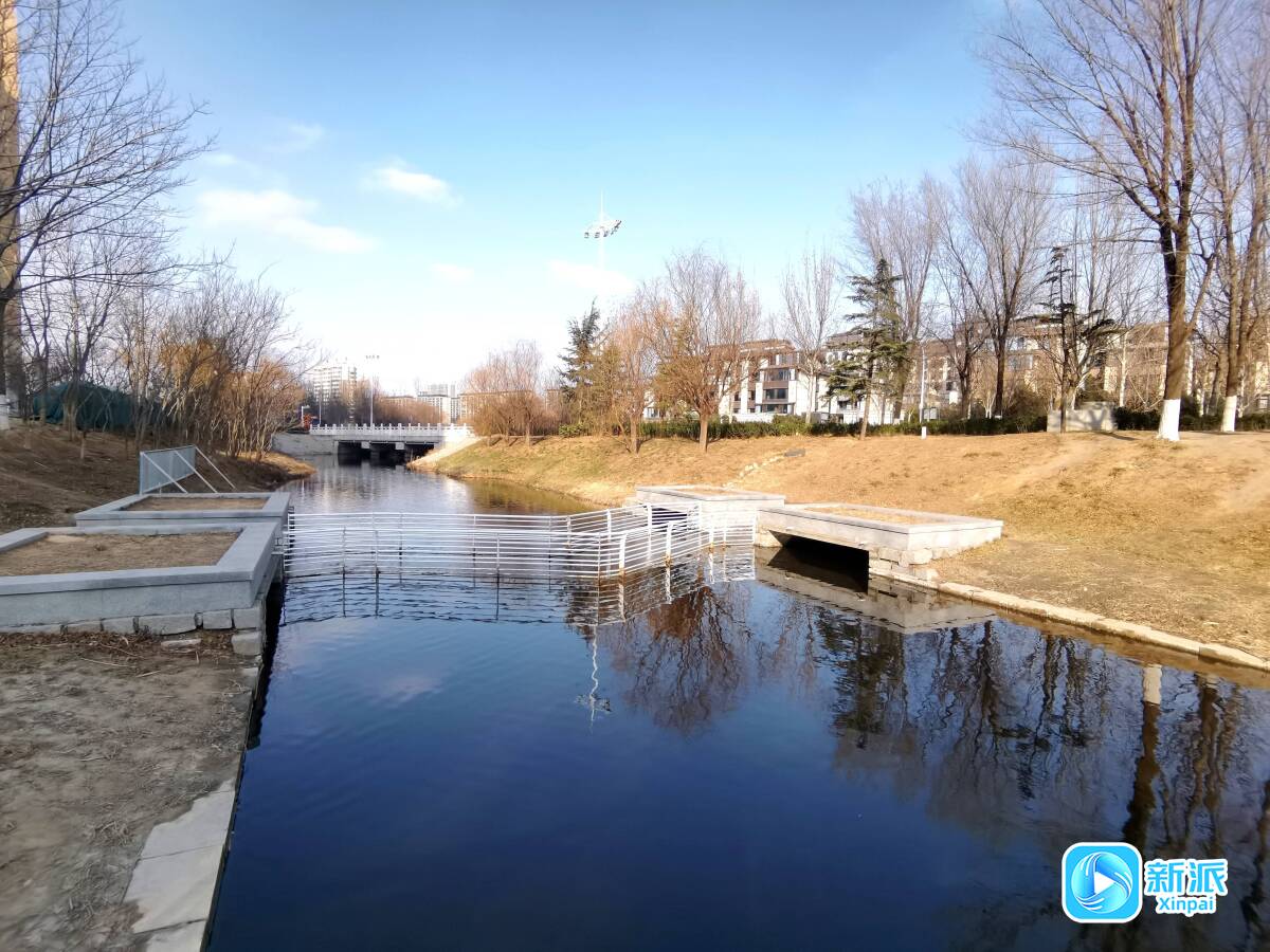 九游娱乐：家门口的张面河大变样 清了河道建了游园(图2)