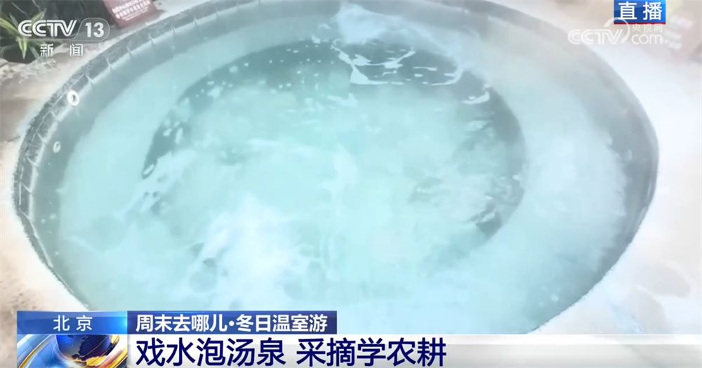 九游娱乐：室内游升温、研学游正当时 文旅“热”让“冬日经济”多点开花、活力迸发(图6)