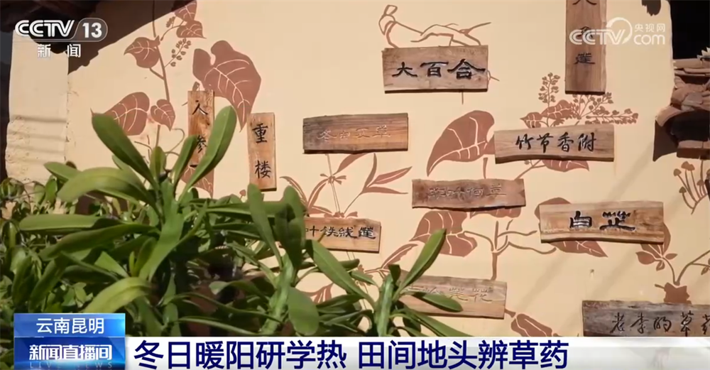 九游娱乐：室内游升温、研学游正当时 文旅“热”让“冬日经济”多点开花、活力迸发(图8)