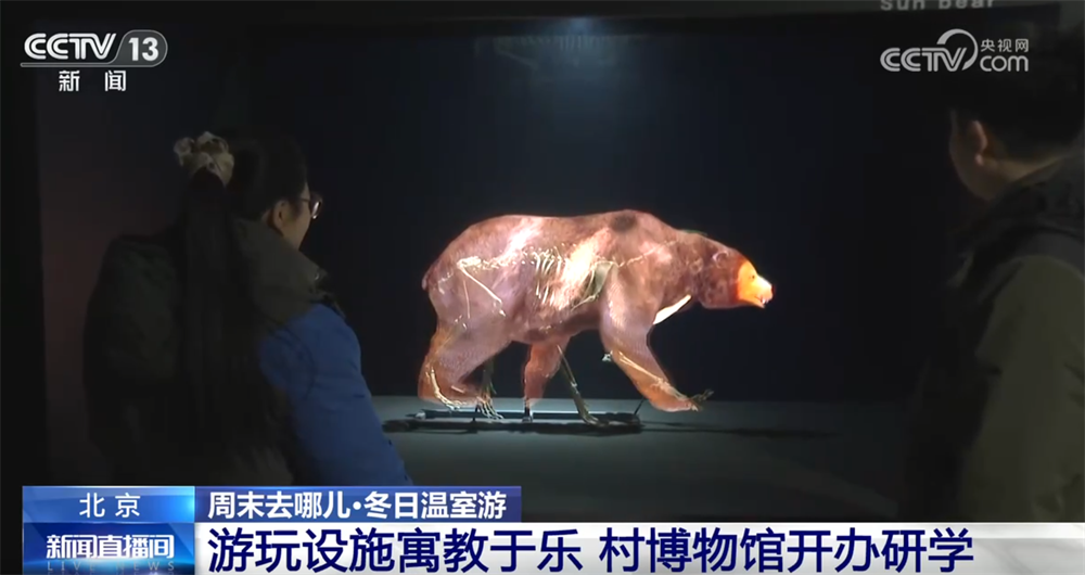 九游娱乐：室内游升温、研学游正当时 文旅“热”让“冬日经济”多点开花、活力迸发(图5)