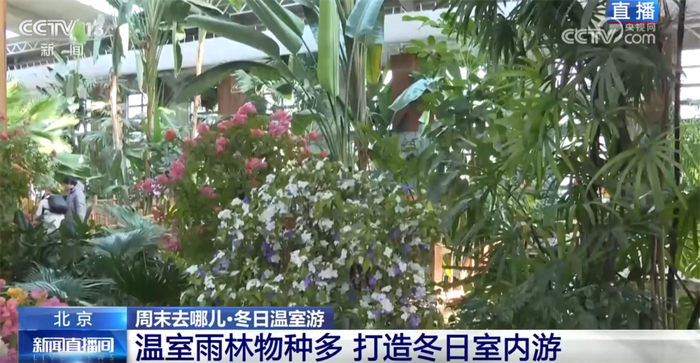 九游娱乐：室内游升温、研学游正当时 文旅“热”让“冬日经济”多点开花、活力迸发