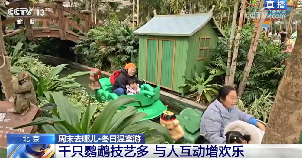 九游娱乐：室内游升温、研学游正当时 文旅“热”让“冬日经济”多点开花、活力迸发(图3)