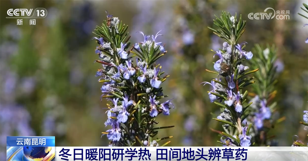 九游娱乐：室内游升温、研学游正当时 文旅“热”让“冬日经济”多点开花、活力迸发(图9)