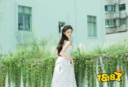 外国视频聊天软件有哪些 免费版视频聊天软件平台(图1)