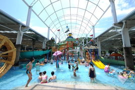 青山区周边亲子游景点推荐(图1)