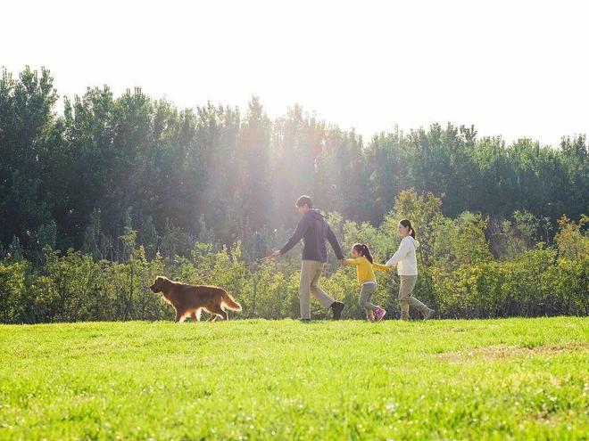 九游娱乐：鼓励放宽儿童免票身高年龄限制！两部门发文推进儿童友好建设(图7)