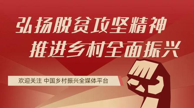 九游app：美育为钥 匠心筑梦(图3)