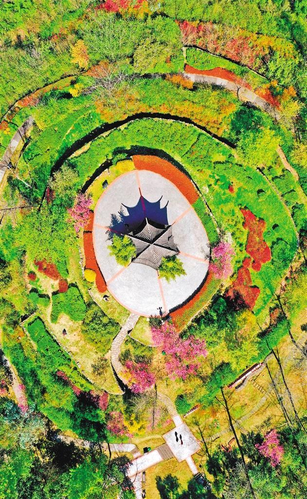 九游娱乐：口袋公园多起来了(图2)