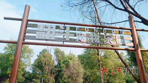 九游娱乐：“毛孩子”们可以尽情撒欢南昌新建区一宠物乐园变身狗狗“托管班”