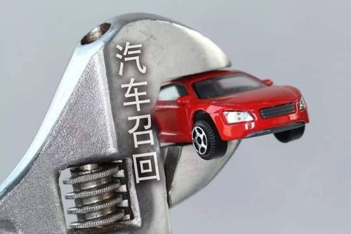 新能源汽车“断奶记”：补贴“做减法”监管“做加法”(图7)