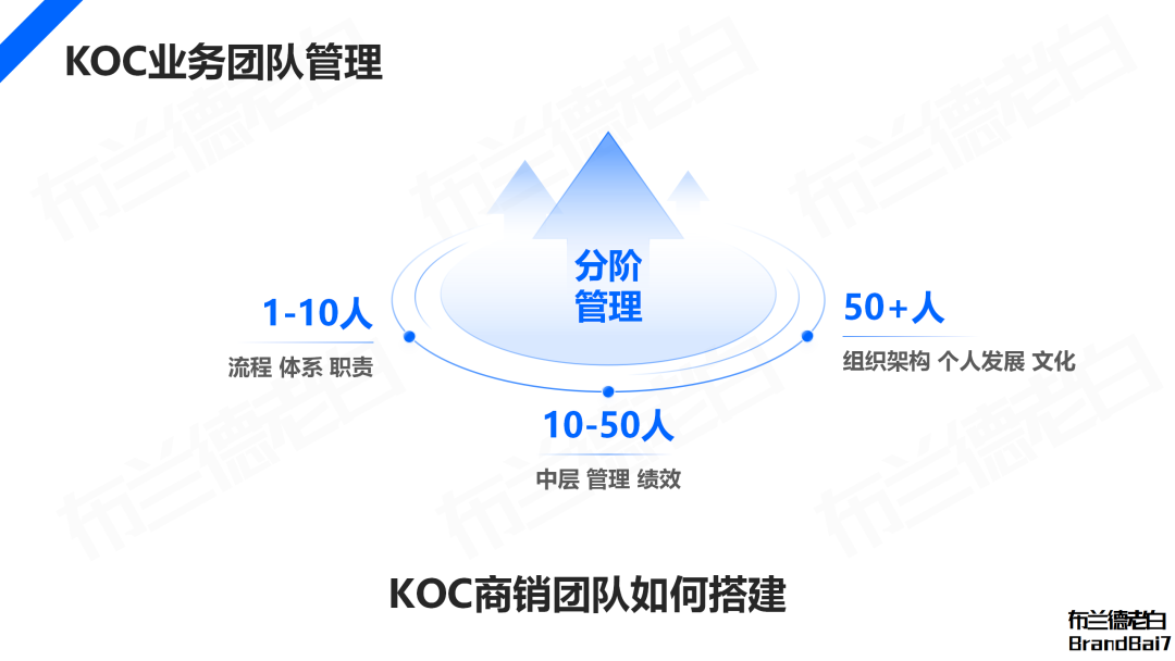 万字解析2024年品牌KOC营销全域打法(图12)