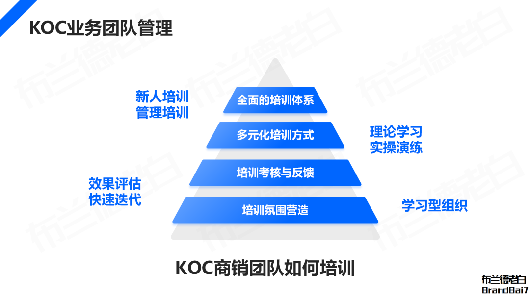 万字解析2024年品牌KOC营销全域打法(图14)