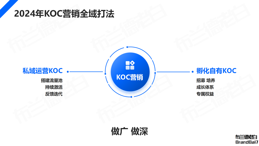 万字解析2024年品牌KOC营销全域打法(图16)